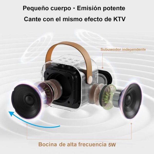 mini karaoke real con microfonos