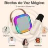 efecto de voz en minikaraoke