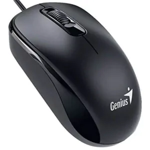 Mouse Genius DX-110 USB 1000 DPI Óptico